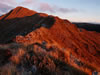 Above the Bushline 1st - Dion Pont - <em>Sunset on tussock ridge</em>