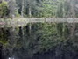 Below the Bushline 2nd - Peter Syms - <em>Okarito Lagoon</em>