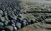 2007