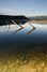 Below the Bushline, 1st - Ray Salisbury
