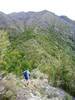 Ferny Gair ridge