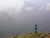 Misty view