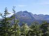 Mt Arthur and the Twins